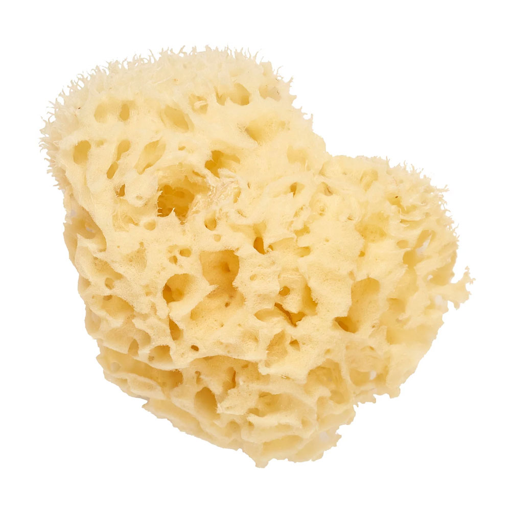 Cartel Natural sea sponge 11cm