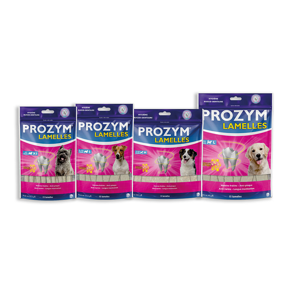 Prozym Dog chews dental plaque and bad breath x15