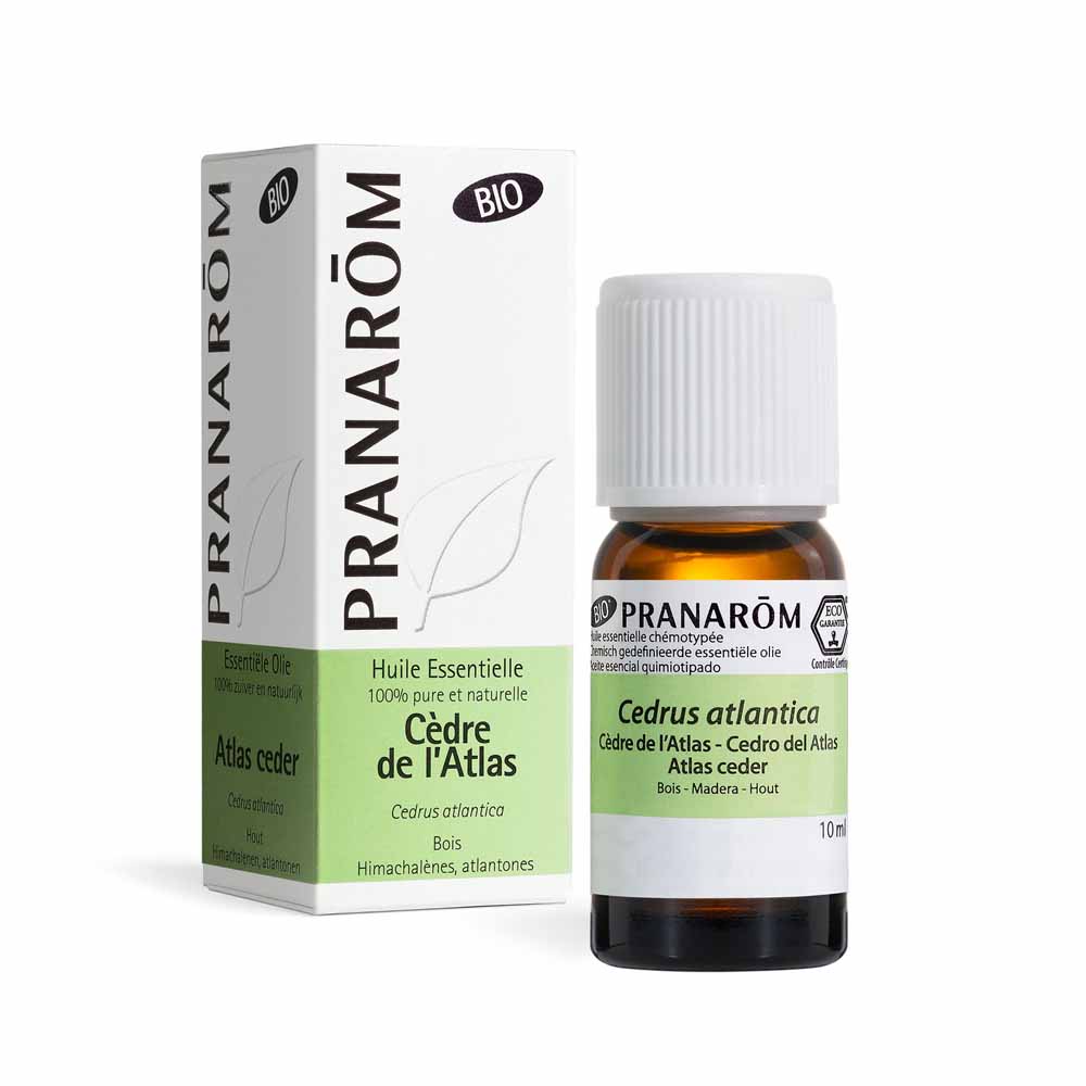 Pranarôm Essential oils Atlas Cedar Essential Oil 10 ml