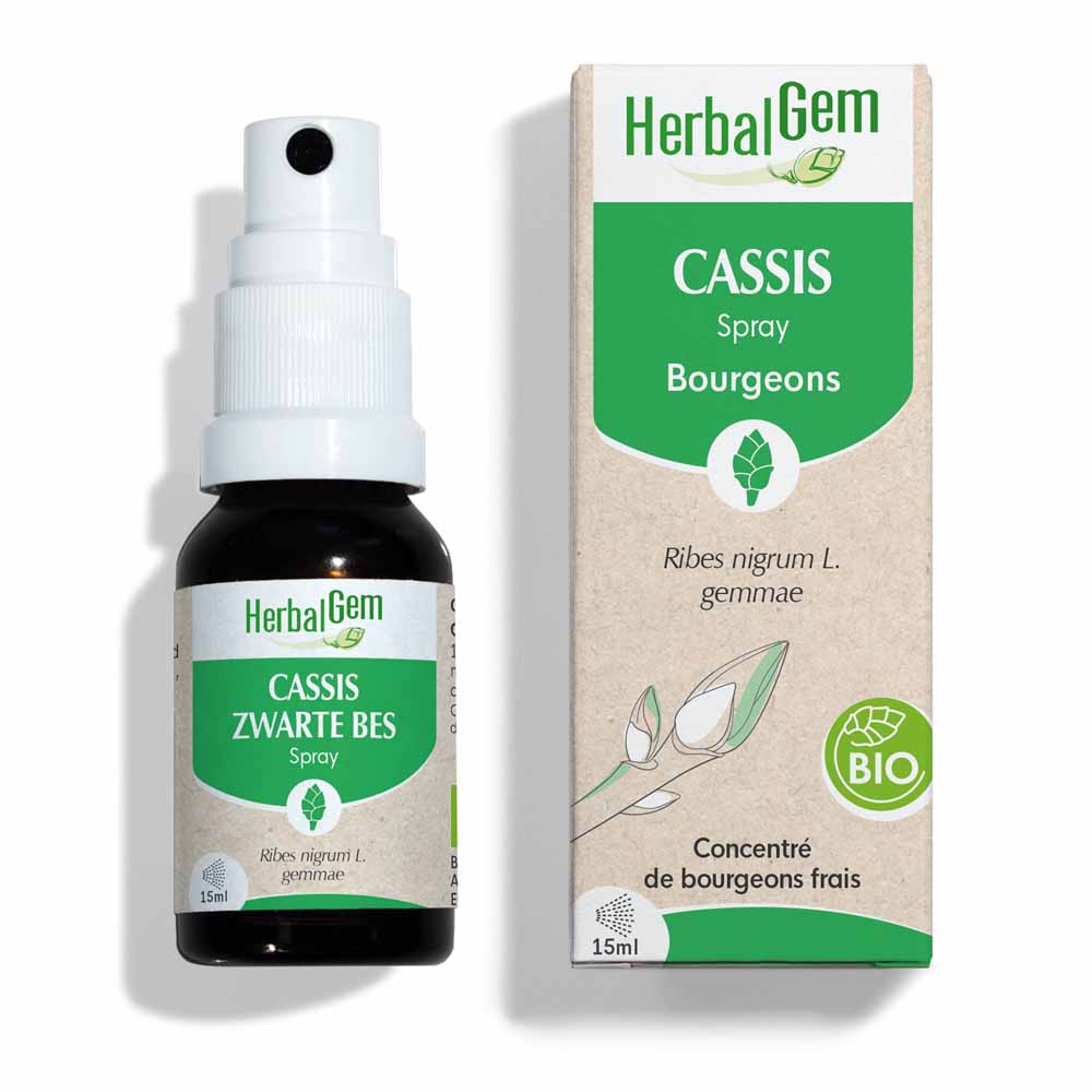 Herbalgem Tree Buds Blackcurrant Spray Bio 15ml