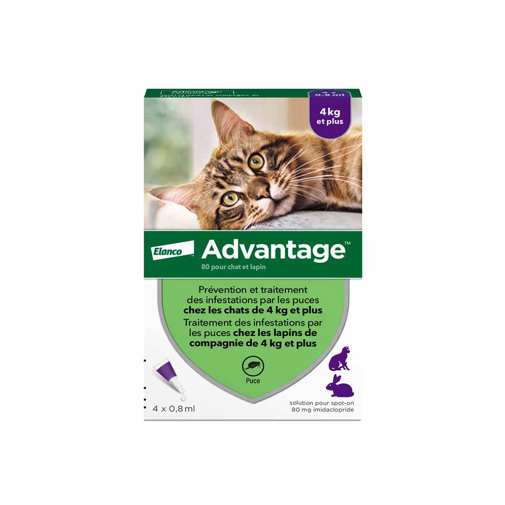 Advantage Solution Anti Flea For Cats &gt; 4x0.8ml