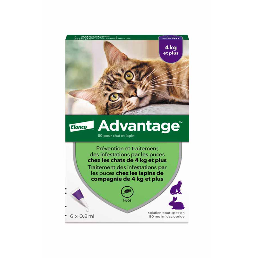 Advantage 80 For Large Cats and Rabbits Plus 4 Kilos 6x0.8ml