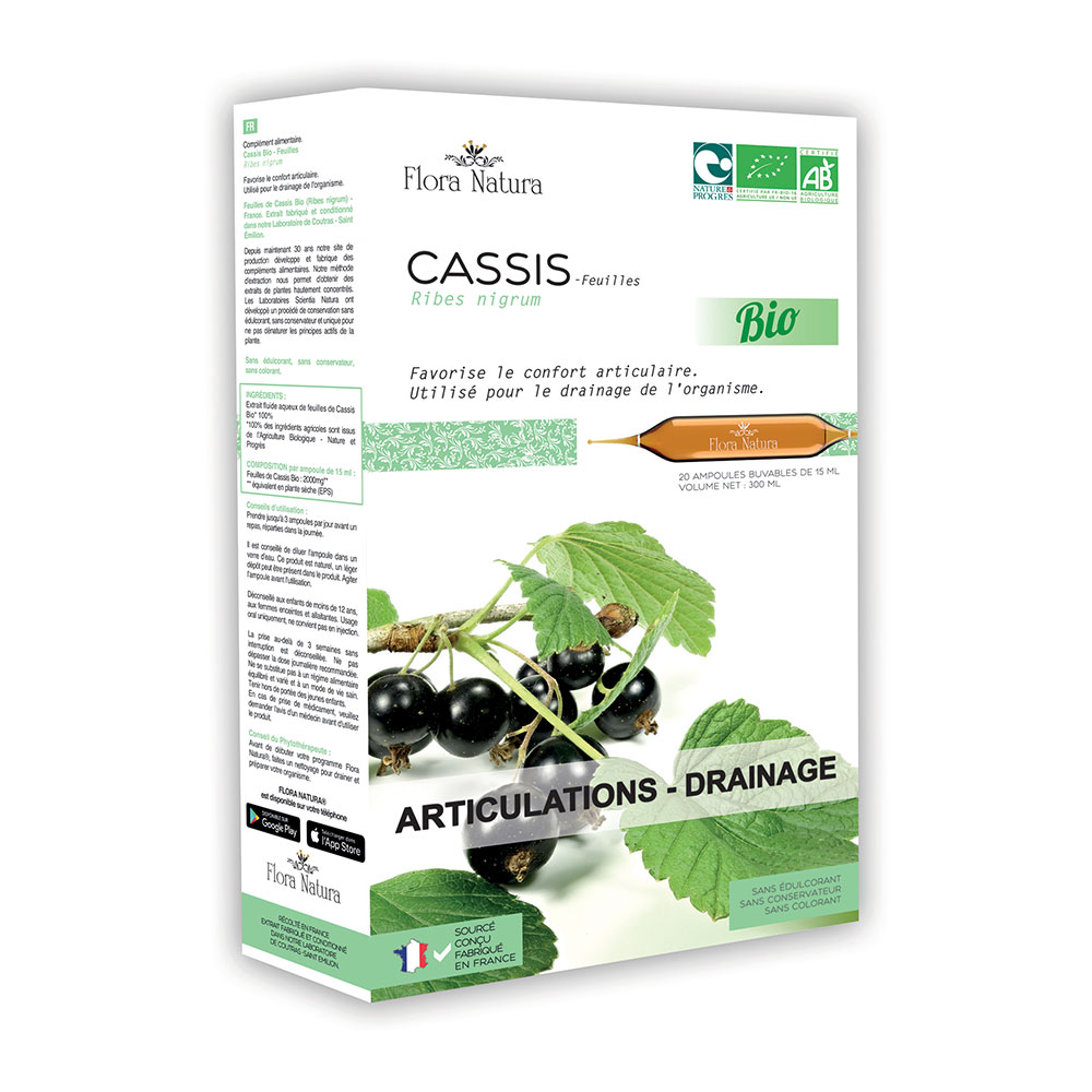 Flora Natura Blackcurrant Bioes Joints and drainage 20 ampulas